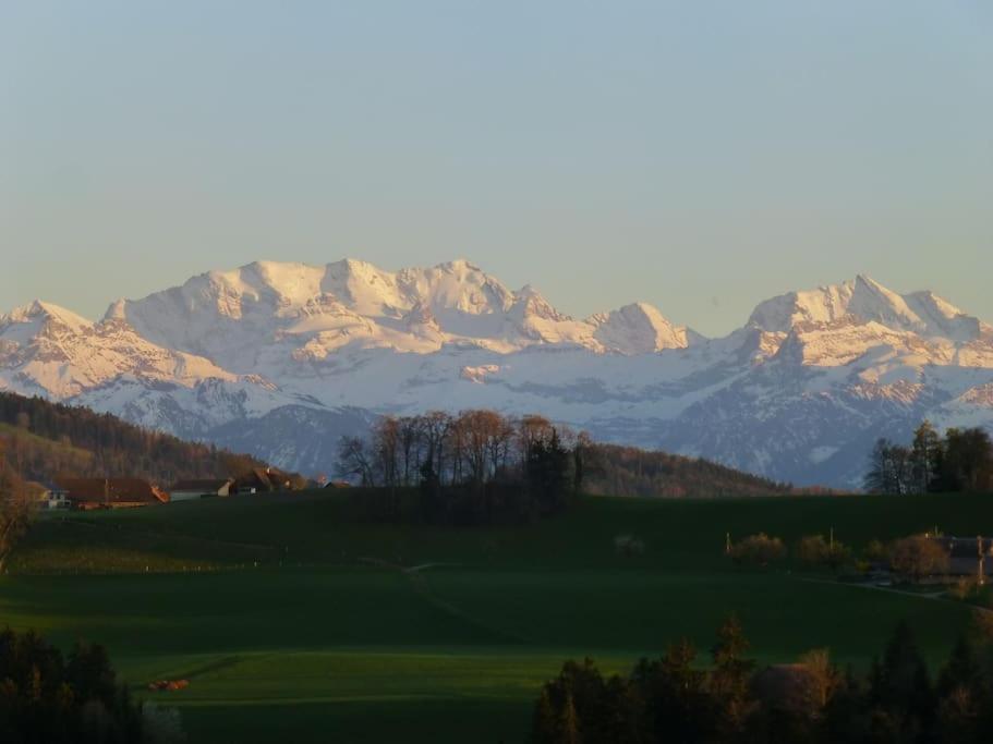 Apartment Swiss Alps *