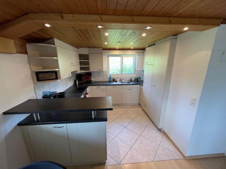 Swiss Alps Apartment Brenzikofen