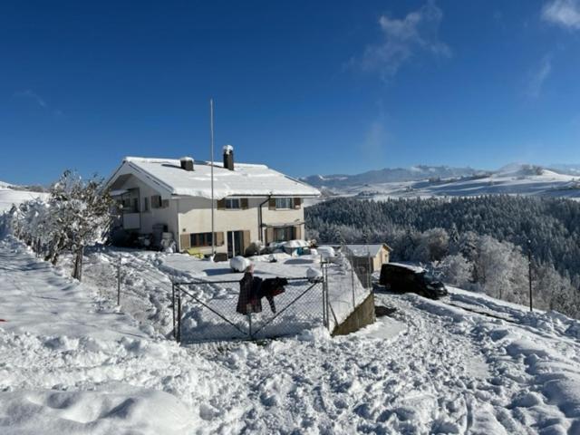 Swiss Alps Apartment *